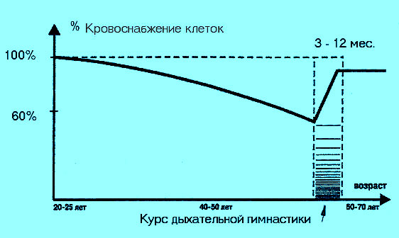 Восстановление кровоснабжения клеток