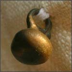 Пуговица Пуговица