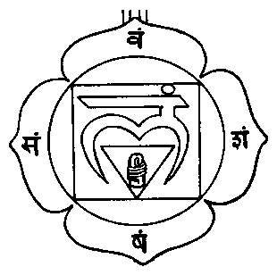 Муладхара (muladhara) чакра и болезни