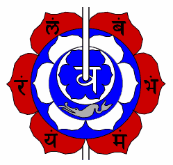 Свадхистана (swadhisthana) чакра и болезни