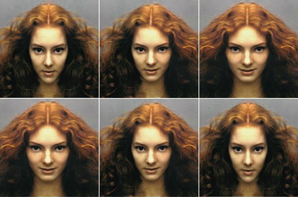 Полушария: правое полушарие и левое полушарие Полушария: правое полушарие и левое полушарие