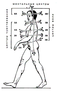 Семь чакр Семь чакр